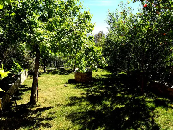4-bedroom Detached House In Markopoulo, Greece (275 M²)