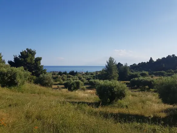 Land Of 4500 M² In Kassandra, Chalkidiki