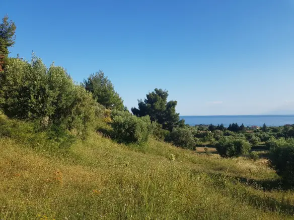 Land In Kassandra, Greece