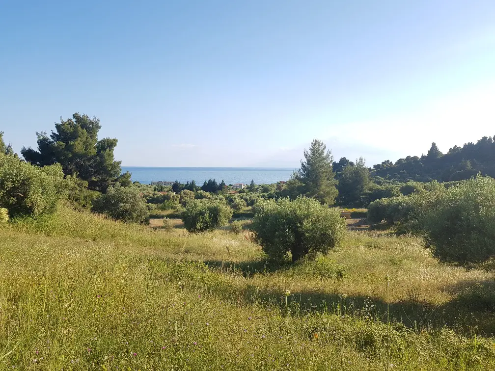 Land Of 20000 M² In Kassandra, Chalkidiki
