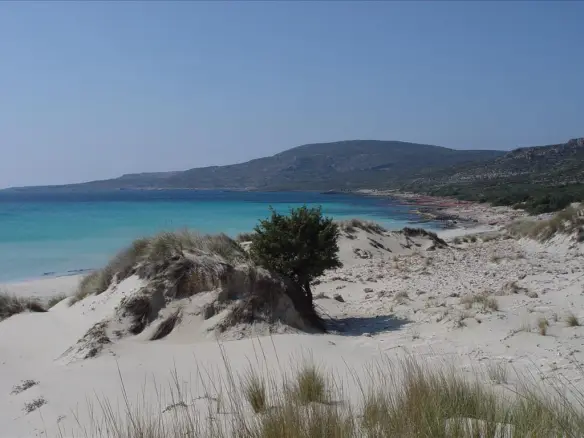 Land In Elafonisos, Greece