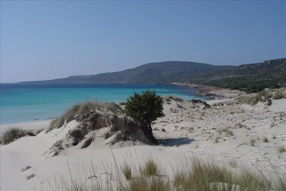 Land Of 145000 M² In Peloponnese