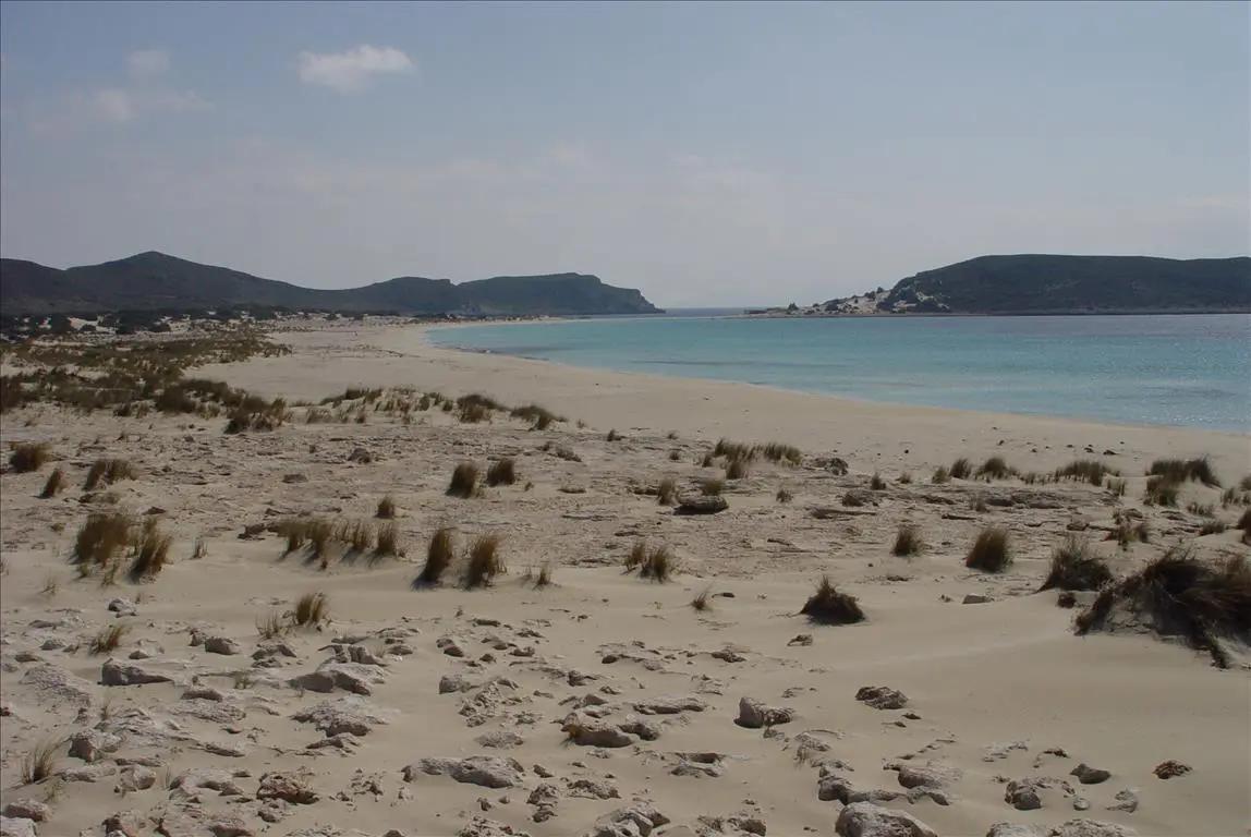 Land Of 145000 M² In Peloponnese