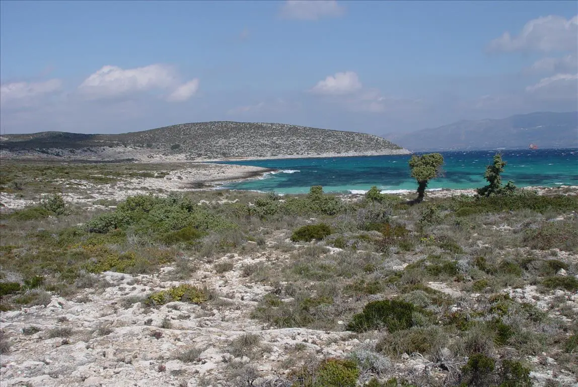 Land Of 145000 M² In Peloponnese