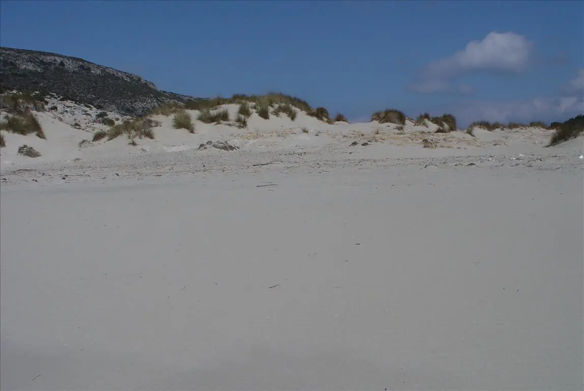 Land Of 145000 M² In Peloponnese