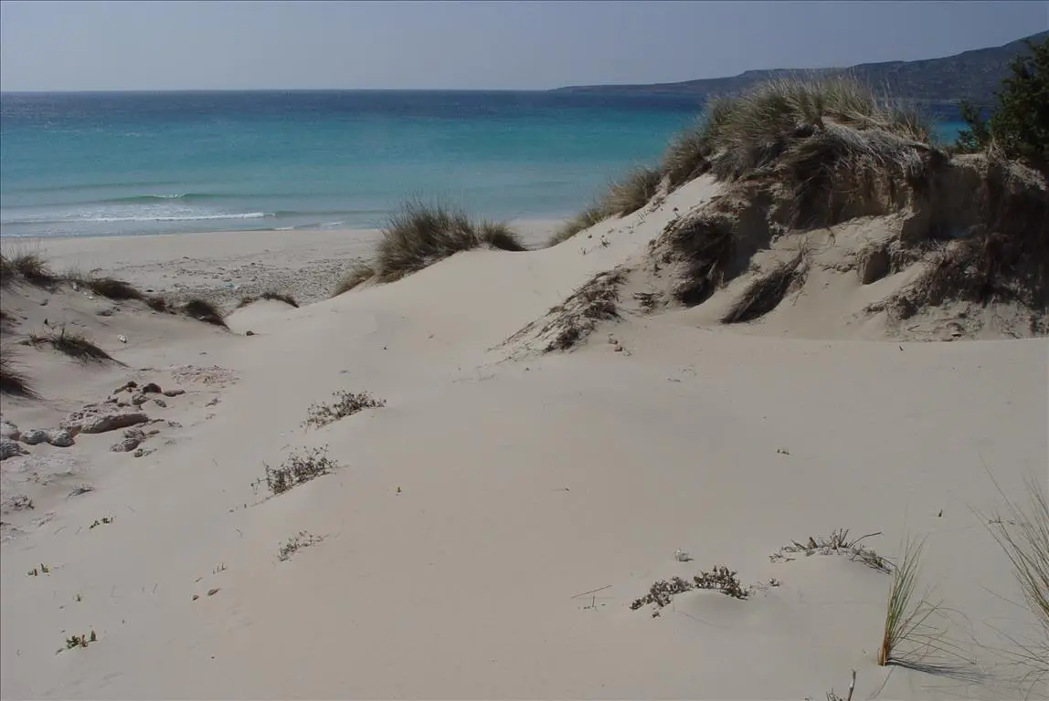 Land Of 145000 M² In Peloponnese