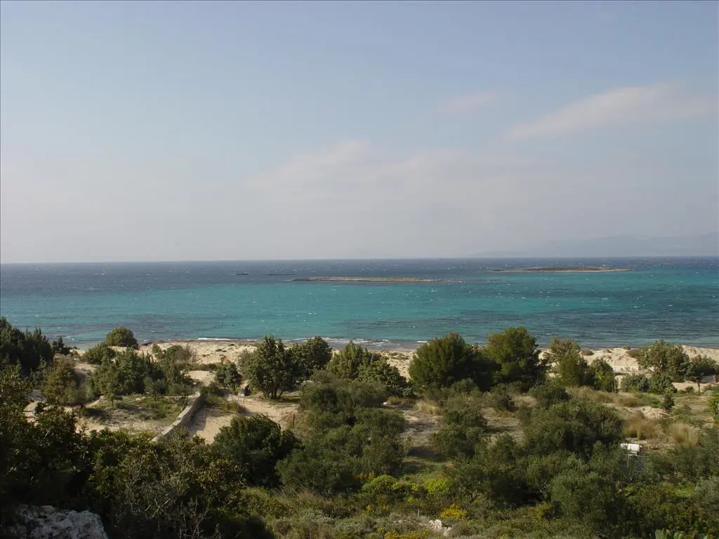 Land Of 145000 M² In Peloponnese