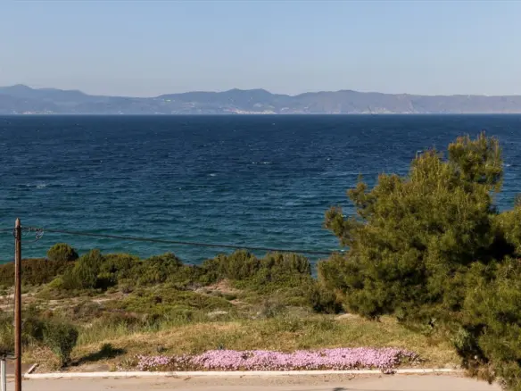 12-bedroom Detached House In Malesina, Greece (400 M²)