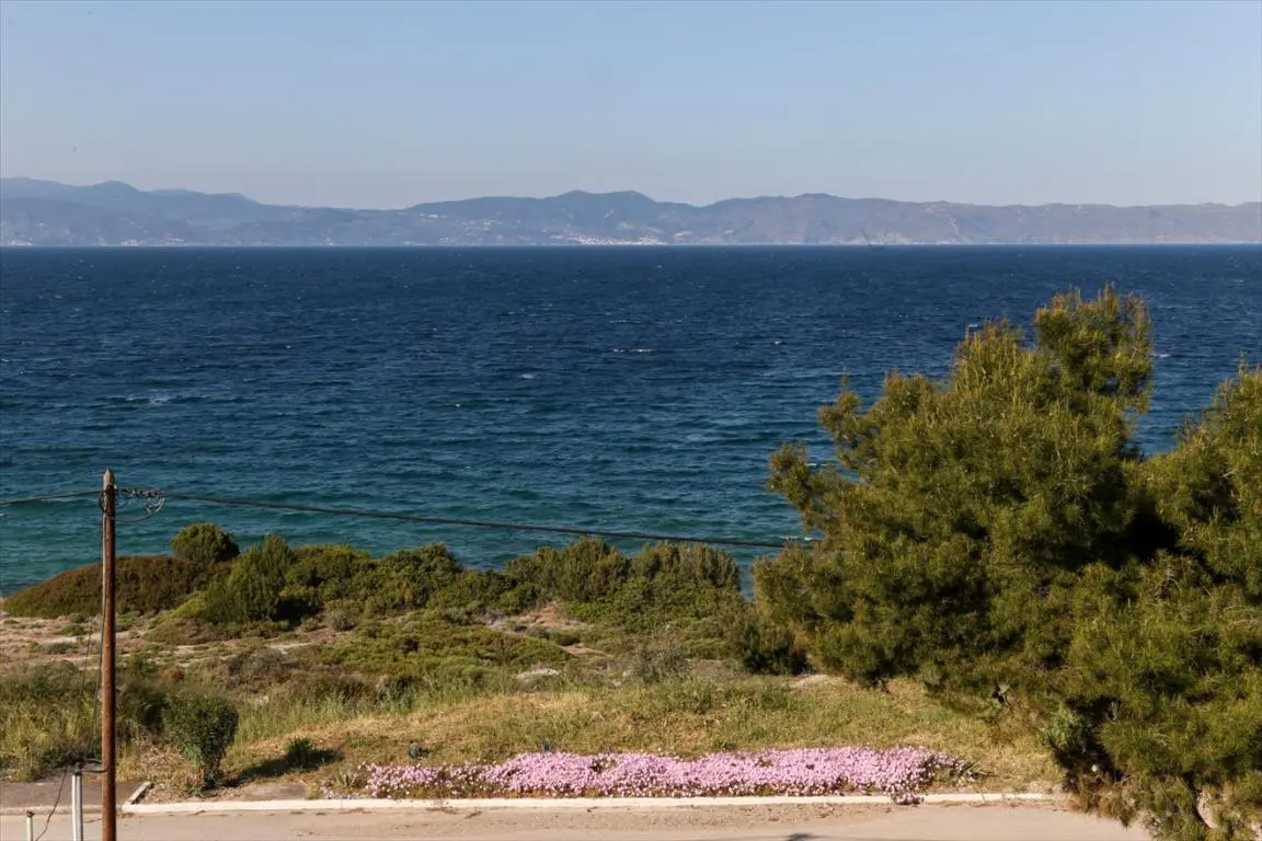 Detached House Of 400 M² In Central Greece