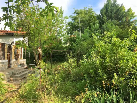 Land In Polichni, Greece