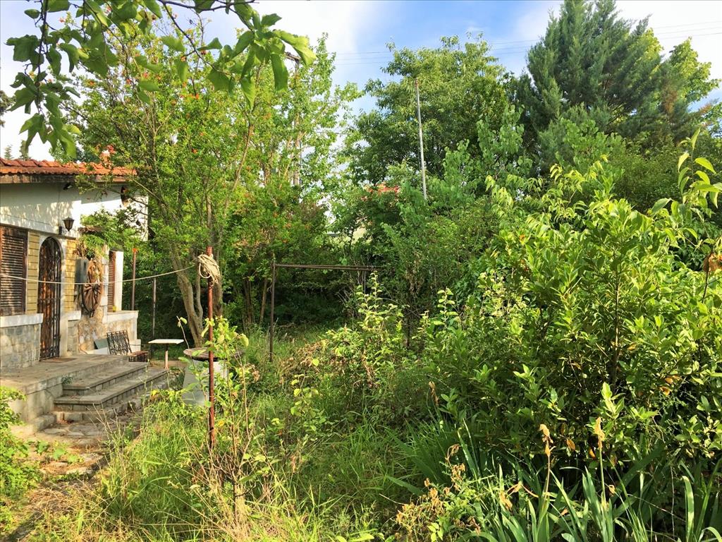 Land Of 8125 M² In Thessaloniki