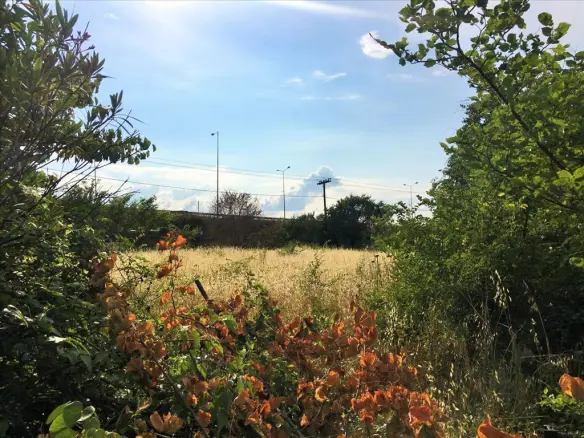 Land In Polichni, Greece