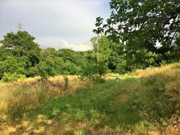 Land In Polichni, Greece