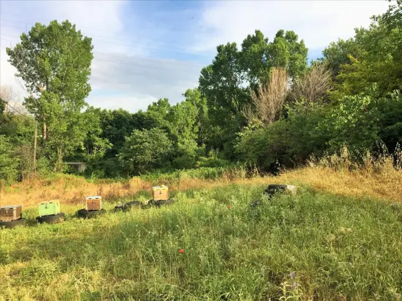 Land In Polichni, Greece