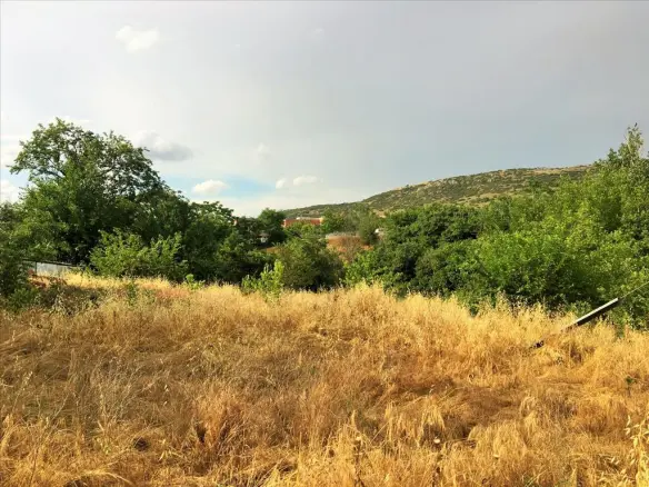 Land In Polichni, Greece