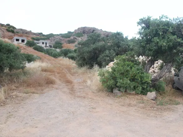 Business In Itanos, Greece (403 M²)