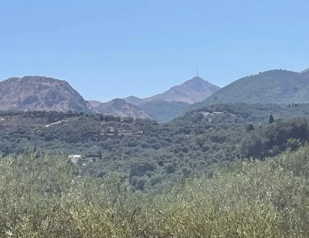 Land Of 16000 M² In Corfu