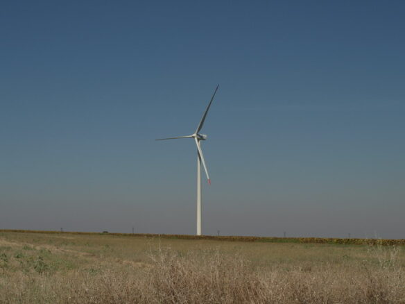 Agricultural Land Of 1000 M² In Varna District