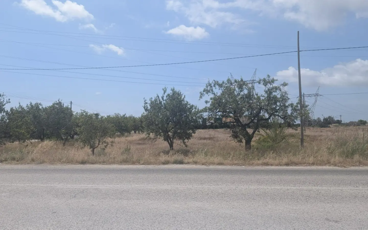 Land In Perleta, Spain (16.566 M² Plot)
