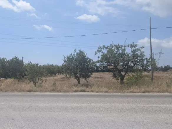Land In Perleta, Spain (16.566 M² Plot)
