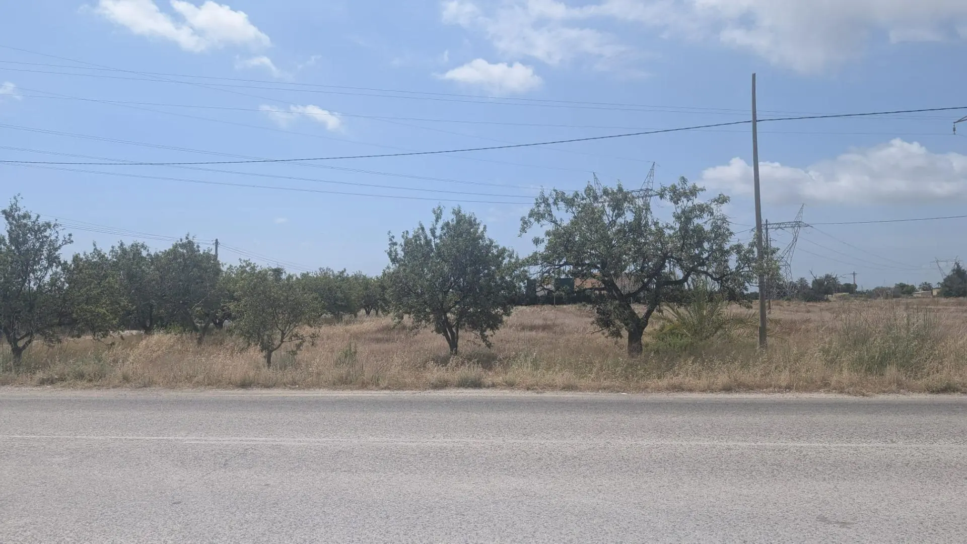Country Land Of 0 M² In Perleta, Spain