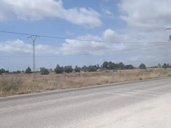 Land In Perleta, Spain (16.566 M² Plot)