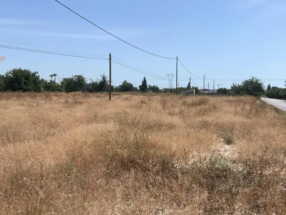 Urban Plot Of 0 M² In Elche Pedanias, Spain