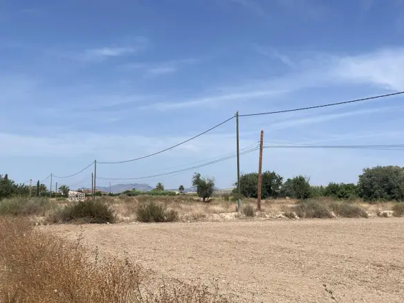 Land In Elche Pedanias, Spain (20.991 M² Plot)