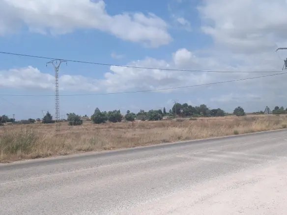 Land In Elche Pedanias, Spain (20.991 M² Plot)