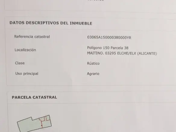 Land In Elche Pedanias, Spain (20.991 M² Plot)