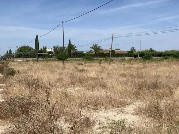 Land In Elche Pedanias, Spain (20.991 M² Plot)