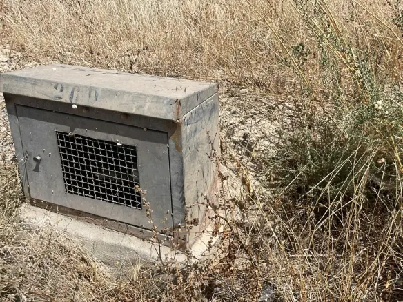 Land In Elche Pedanias, Spain (20.991 M² Plot)