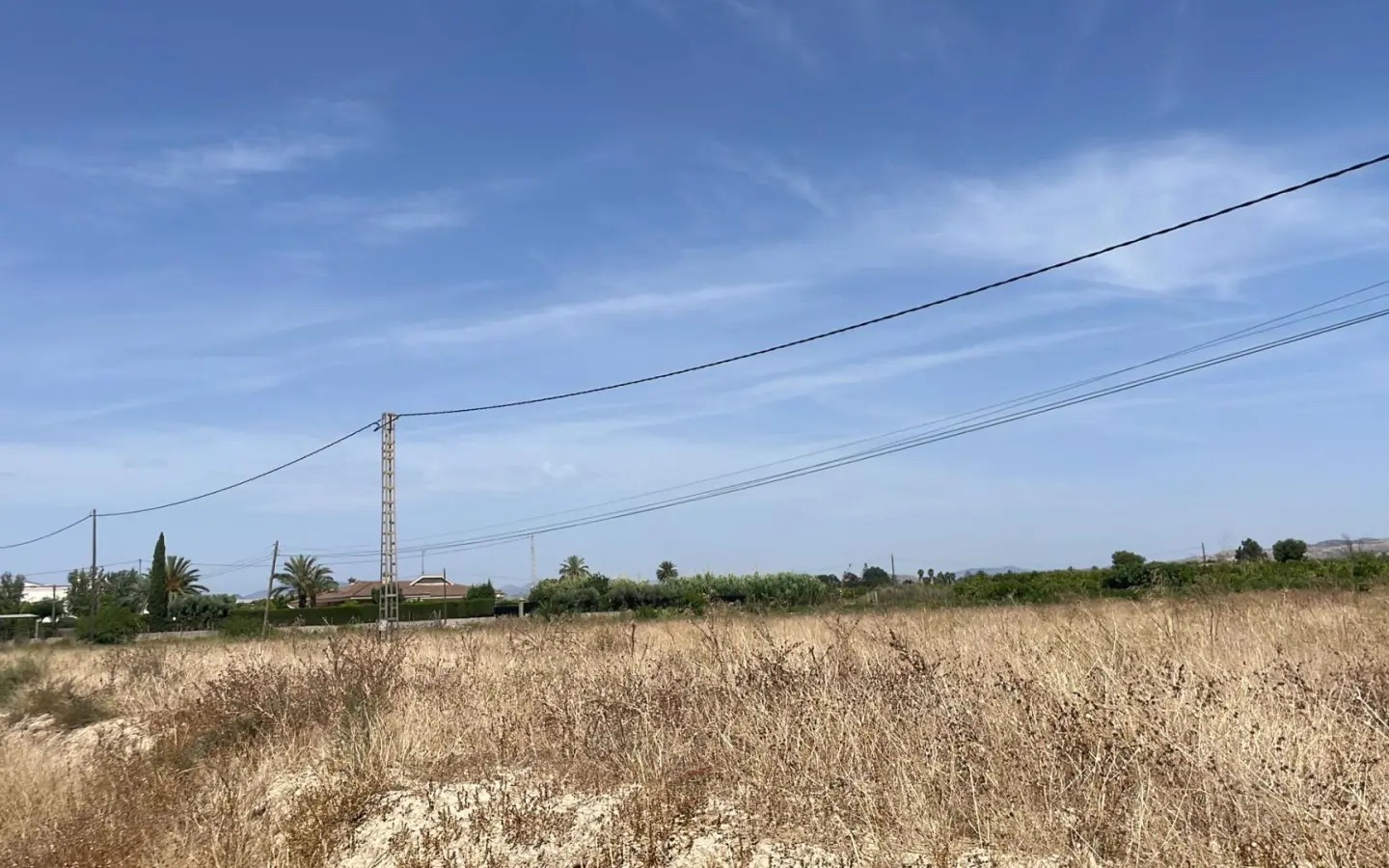 Land In Elche Pedanias, Spain (20.991 M² Plot)