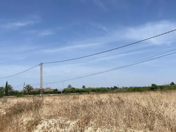 Land In Elche Pedanias, Spain (20.991 M² Plot)