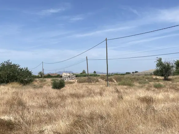 Land In Elche Pedanias, Spain (20.991 M² Plot)