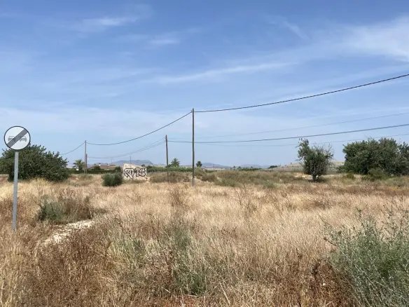 Land In Elche Pedanias, Spain (20.991 M² Plot)