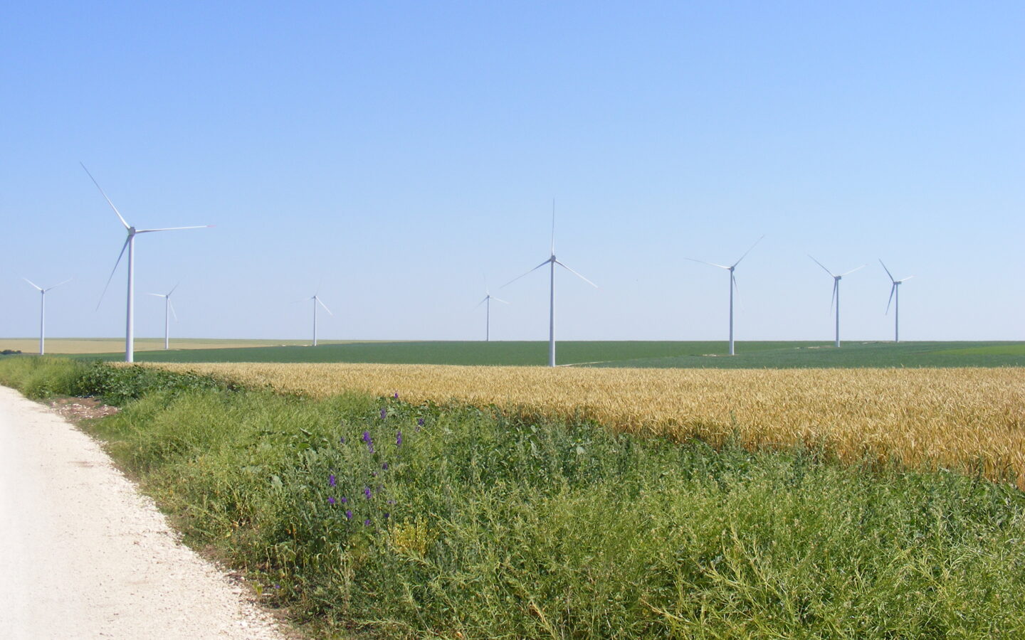 Agricultural Land Of 1000 M² In Varna District