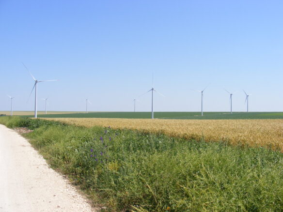 Agricultural Land Of 1000 M² In Varna District