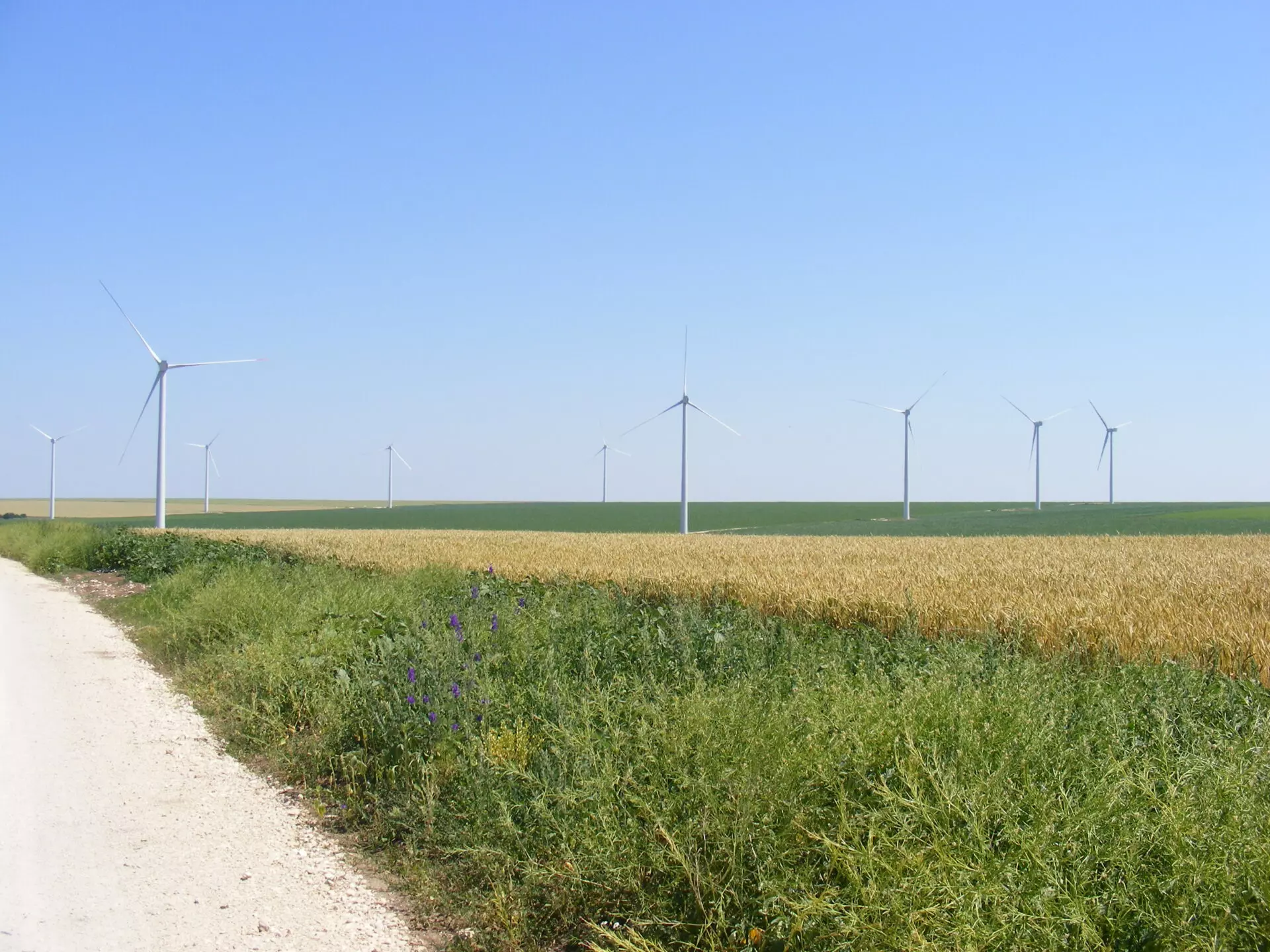 Agricultural Land Of 1000 M² In Varna District