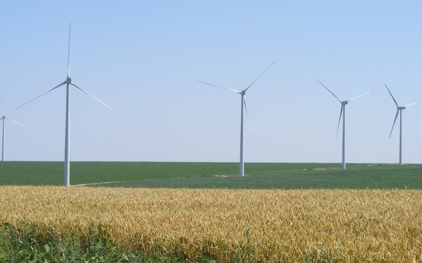 Agricultural Land Of 1000 M² In Varna District