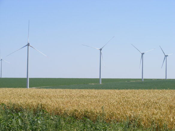 Agricultural Land Of 1000 M² In Varna District