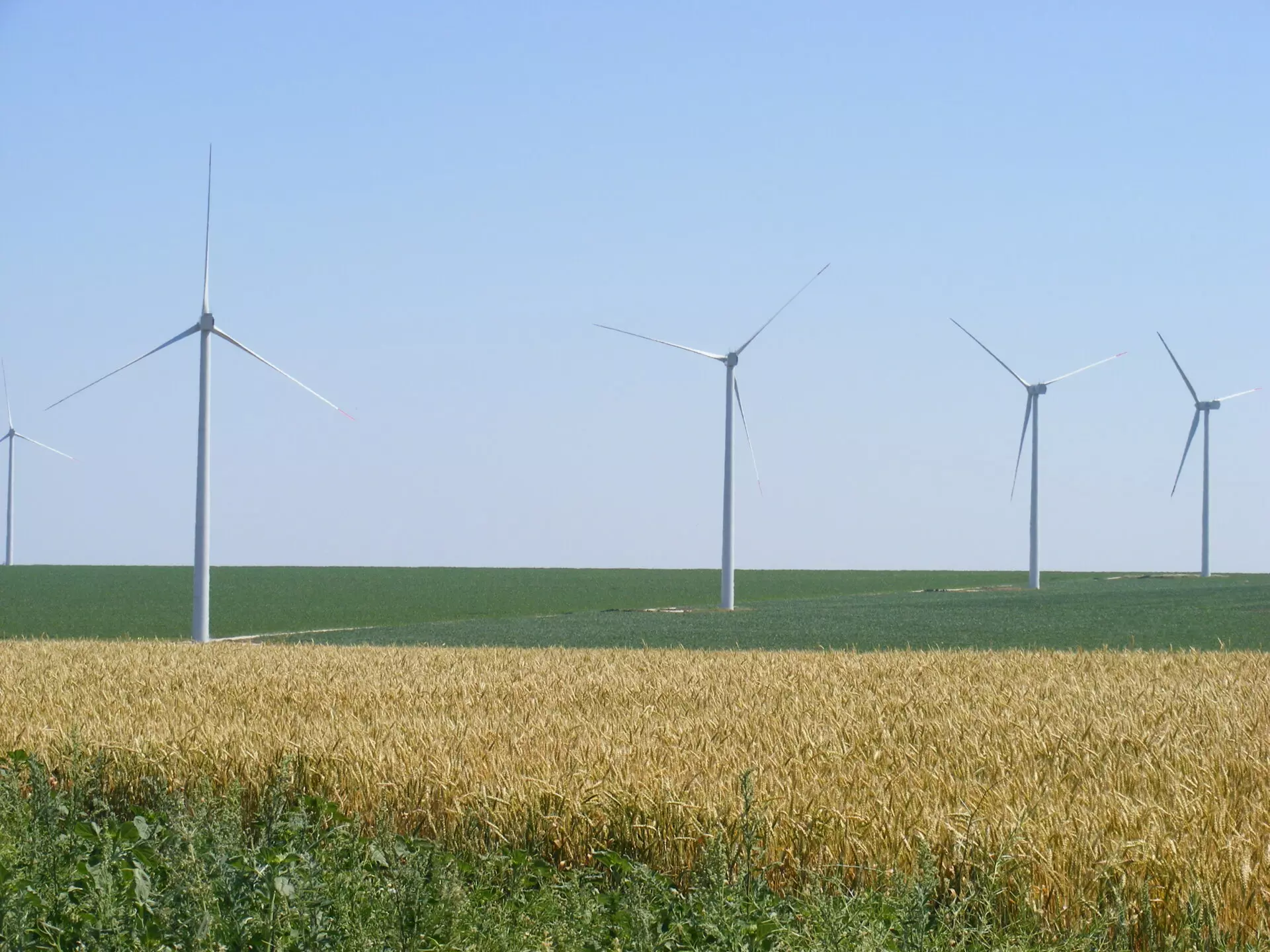 Agricultural Land Of 1000 M² In Varna District
