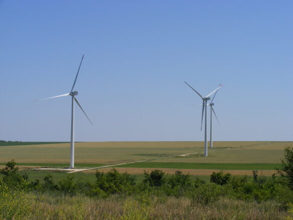 Agricultural Land Of 1000 M² In Varna District