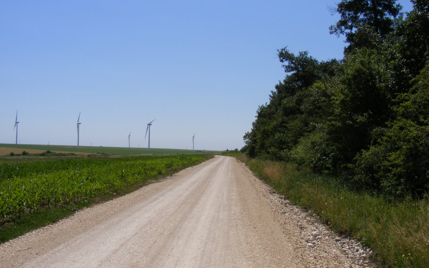 Agricultural Land Of 1000 M² In Varna District
