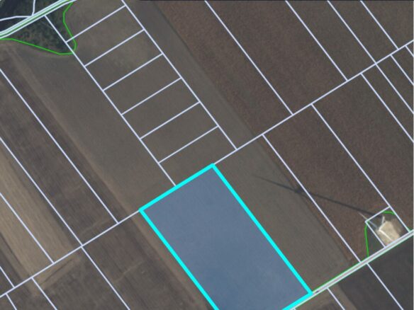 Agricultural Land Of 1000 M² In Varna District