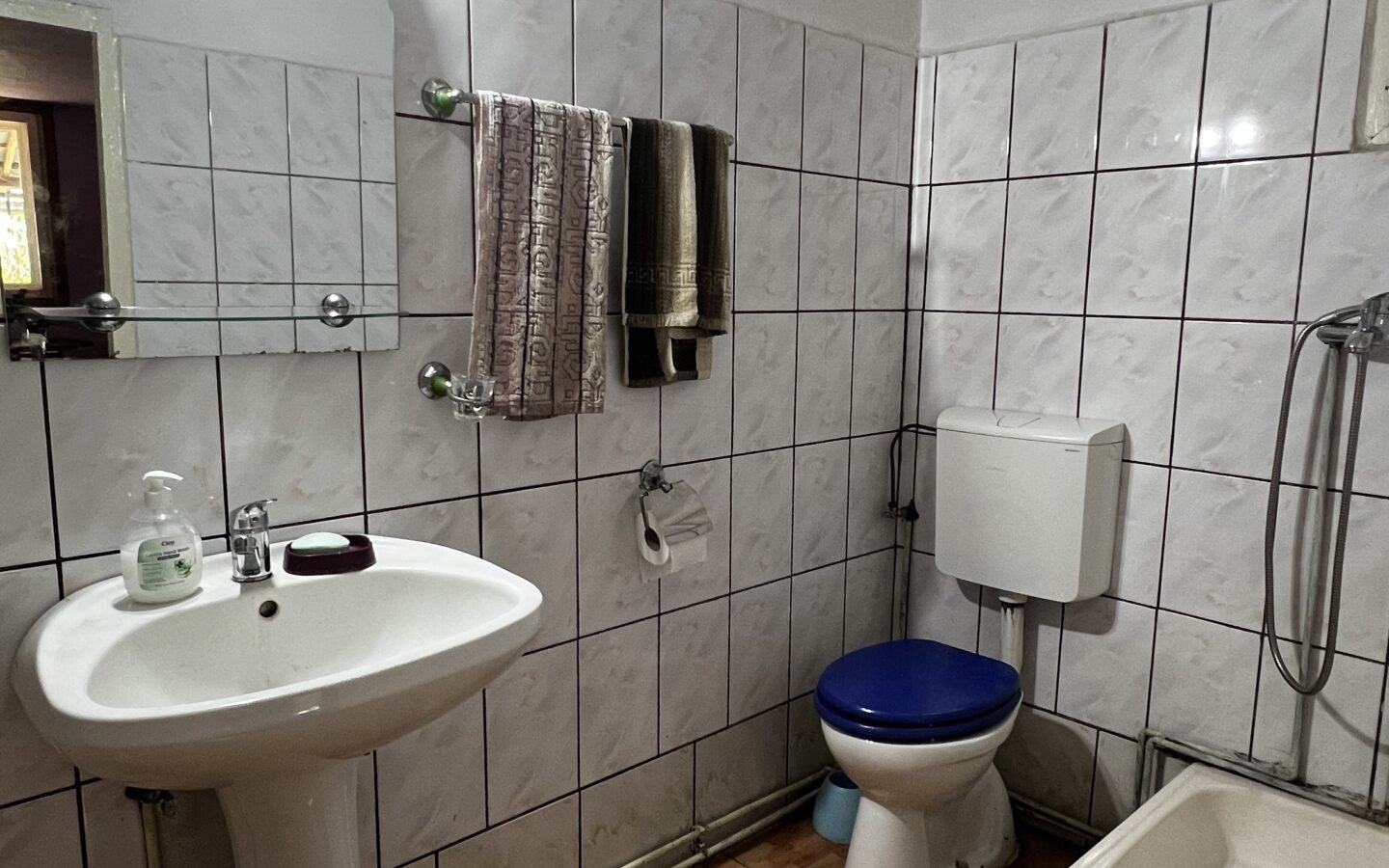 Arad – Sat. Pescari – Casa Mare și Frumoasă, Cu Grădină și Pomi Fructiferi