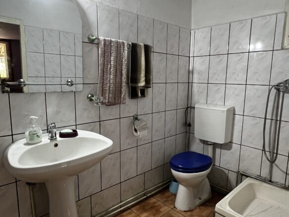 Arad – Sat. Pescari – Casa Mare și Frumoasă, Cu Grădină și Pomi Fructiferi