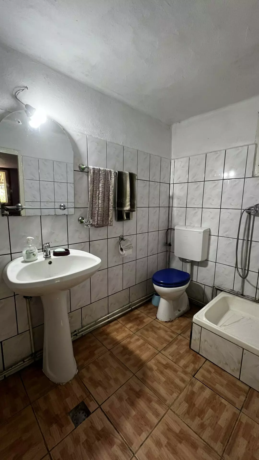 Arad – Sat. Pescari – Casa Mare și Frumoasă, Cu Grădină și Pomi Fructiferi