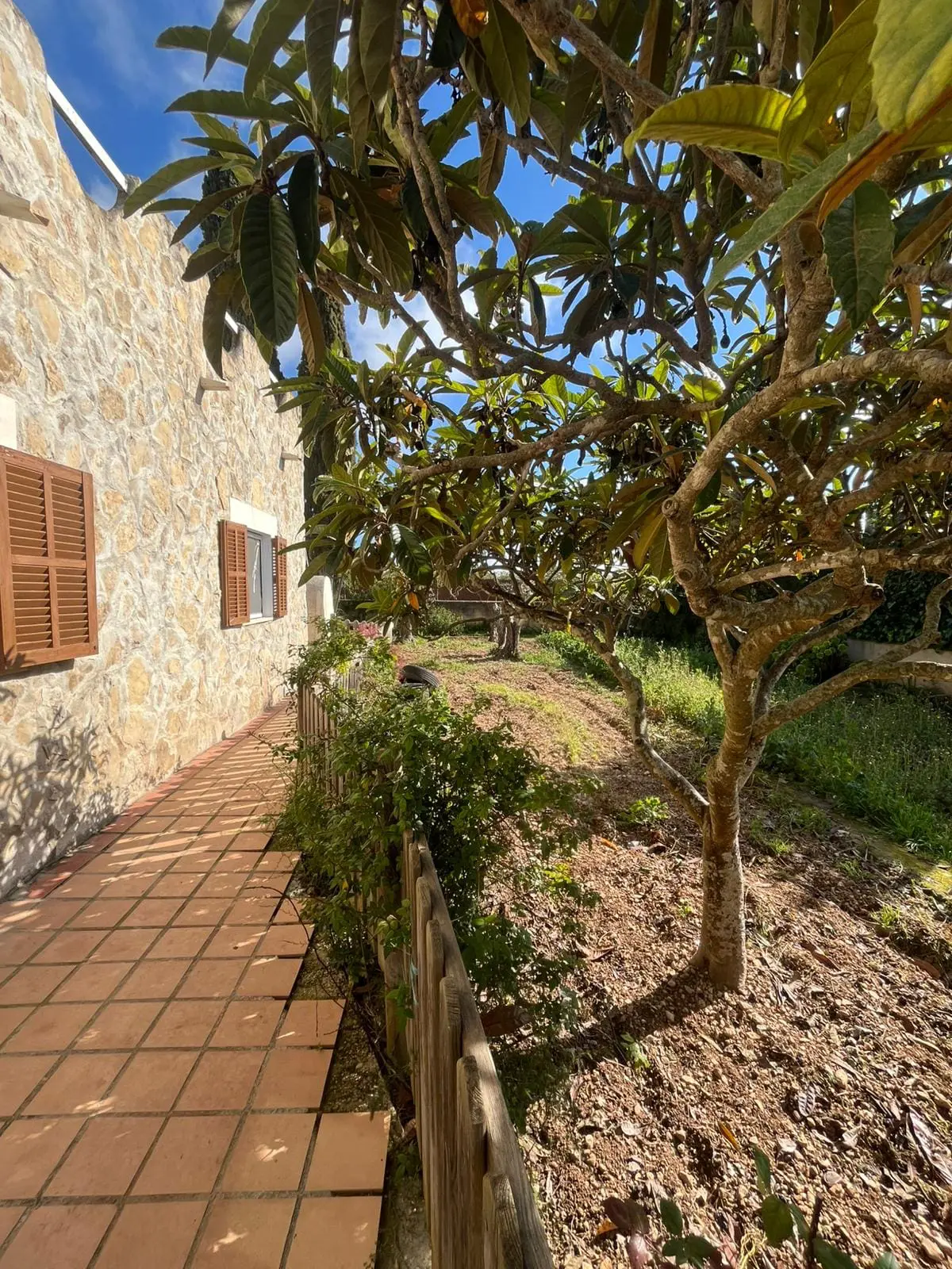 Farm Of 233 M² In Consell