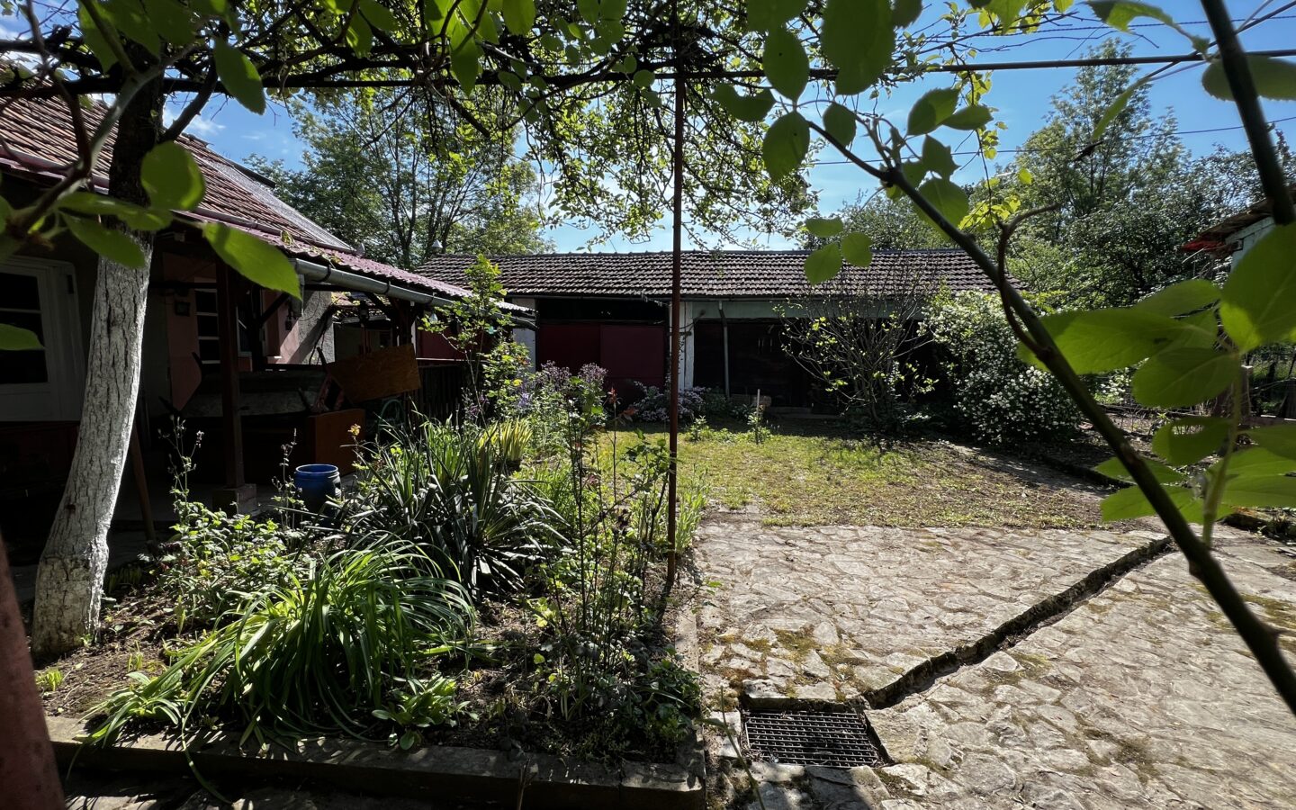 Arad – Sat. Pescari – Casa Mare și Frumoasă, Cu Grădină și Pomi Fructiferi